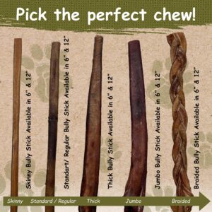 Top Dog Chews - Thick 12 Inch Bully Sticks, 100% Natural Beef, Free Range, Grass Fed, High Protein, Supports Dental Health & Easily Digestible, Dog Treat, 10 Pack (10 Count 12", Odor Free Beef)