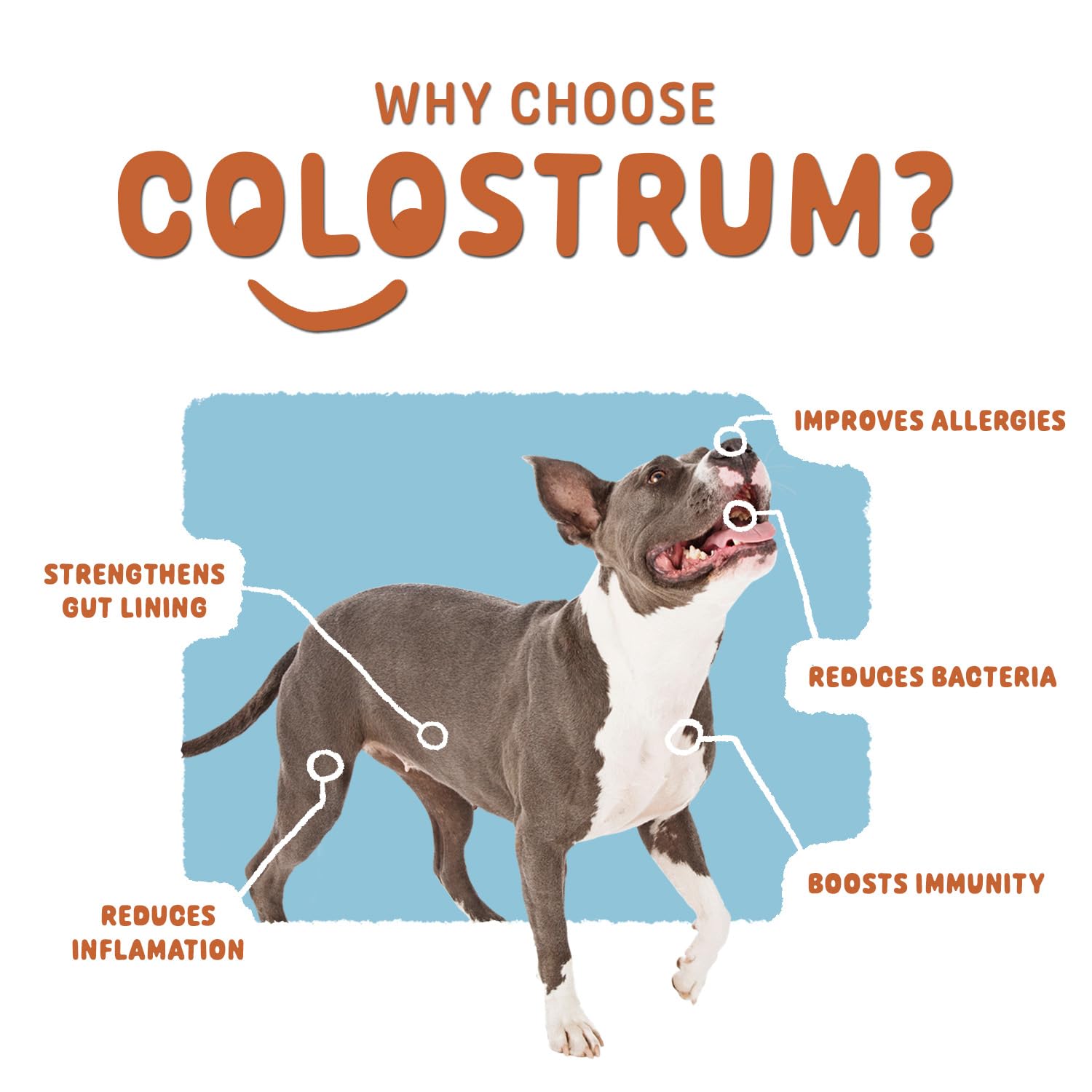 Tailworthy 100% Bovine Colostrum for Dogs & Cats, Allergy and Immune Support, 60 Servings, Non-GMO, Gluten Free for More Energy, Wellness, and Healthier Digestion