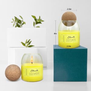 Citronella Candle for Outdoor or Indoor, Glass Jar Candle with Ball Cork Lid, 12oz Lemongrass Candles with Natural Essential Oils & Soy Wax, Smokeless, Non-Toxic