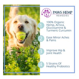 Generic Mobility Chews for Dogs. Glucosamine, Arnica, Turmeric, Hemp Oil Extract. Plus 5 Probiotic Strains for Gut Health. Beef Flavor, 100% Organic Hemp, Grain Free. Made in USA (900 mg), Brown