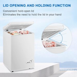 AXUTL Deep Freezer Mini 2.5 Cu.ft Small Chest Freezer RV Portable Freezer White 100-120V AC for Apartment Garage Kitchen Dorm Vehicle Truck Boat Travel Outdoor