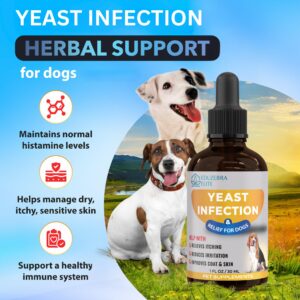 Yeast Infection Treatment for Dogs - Reduces Irritation & Inflammation - Soothing Itch Relief, Ear Infection Treatment