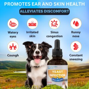 Yeast Infection Treatment for Dogs - Reduces Irritation & Inflammation - Soothing Itch Relief, Ear Infection Treatment