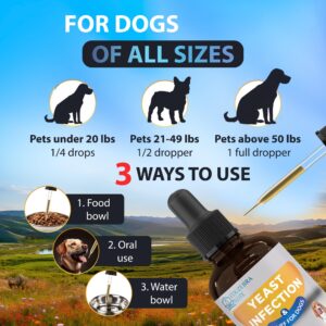 Yeast Infection Treatment for Dogs - Reduces Irritation & Inflammation - Soothing Itch Relief, Ear Infection Treatment