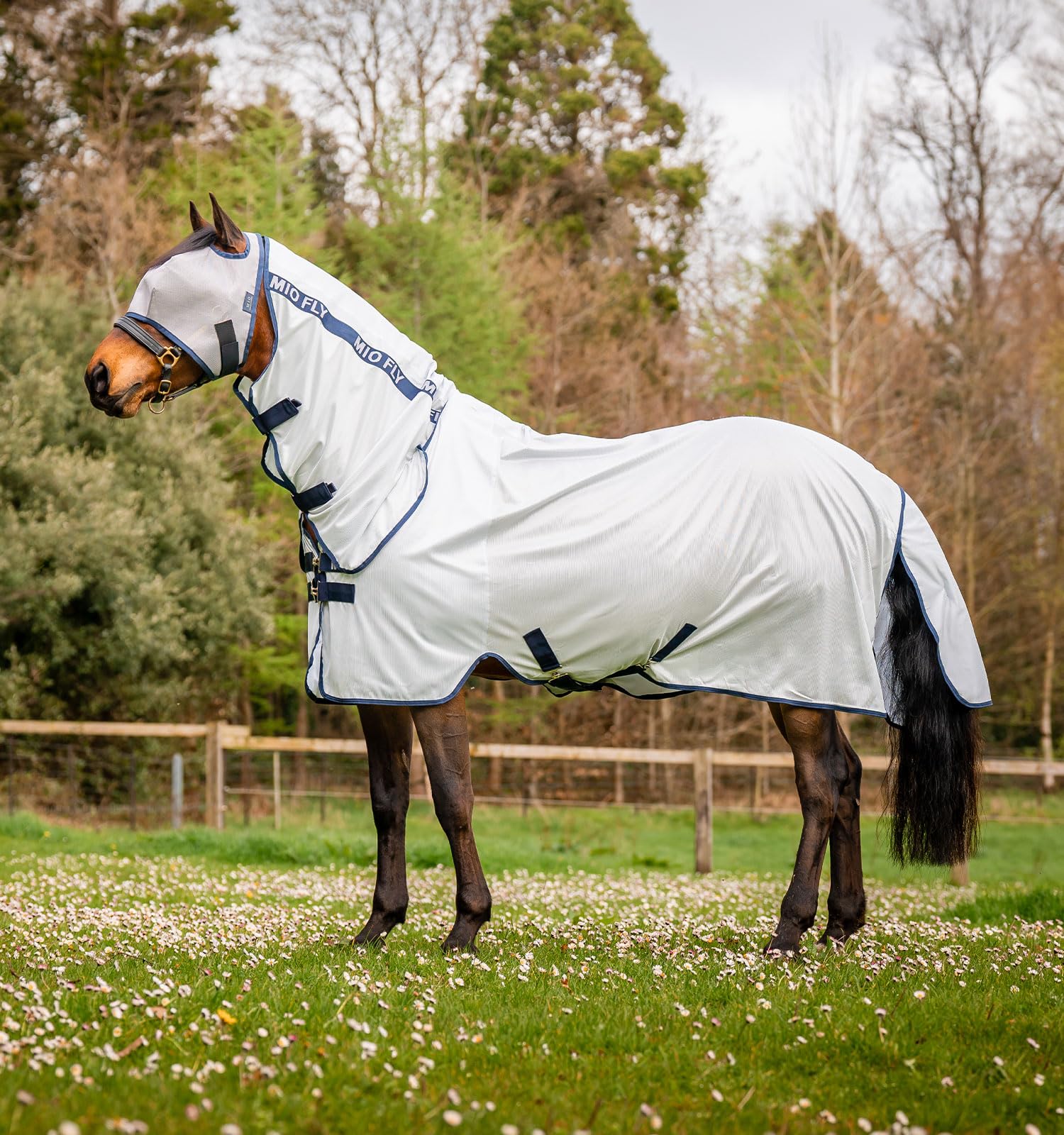 Horseware® Mio® Fly Sheet (No Fill)