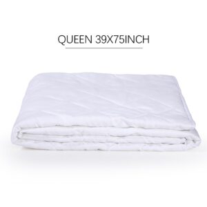 Newwiee 2 Pcs Queen Size Mattress Protector with Elastic Straps Slightly Waterproof Quilted Mattress Cover Pad Microfiber Mattress Topper Noiseless Fitted Mattress Bed Protector (75 x 39)