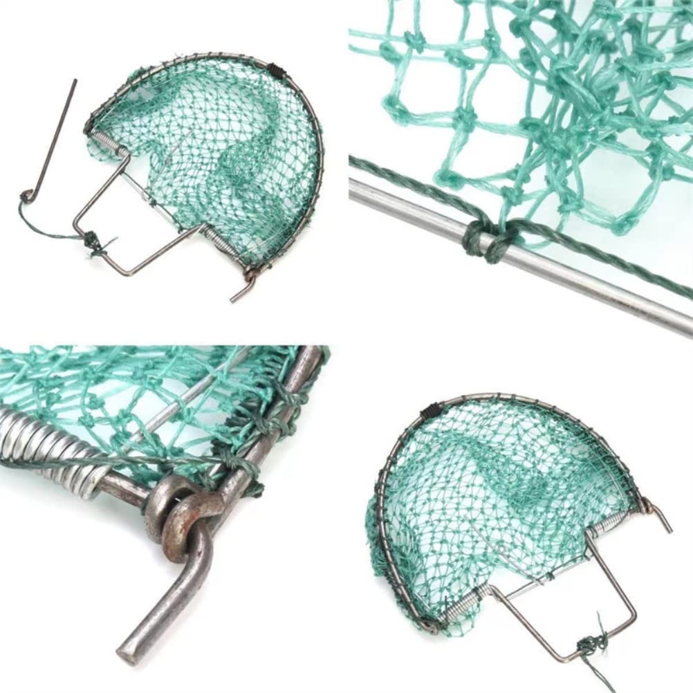 Bird Pigeon Trap, Bird Net Starling Traps, Humane Live Bird Catcher Net, for Small Birds Pigeons Sparrow Quail (30cm)