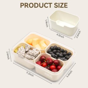 PENUIO Snackle Box Container,Divided Food Storage Containers,4 Compartment Divided Serving Tray With Lid,Relish Tray,Vegetable Tray,Fruit Platter,Snack Box,Snack Containers For Adults,