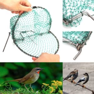 Bird Pigeon Trap, Bird Net Starling Traps, Humane Live Bird Catcher Net, for Small Birds Pigeons Sparrow Quail (30cm)