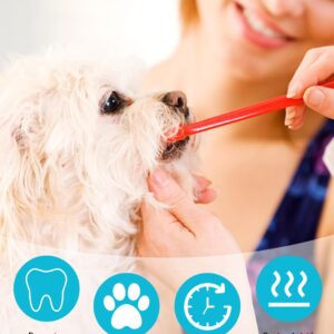 CRAZYBELLY 10 Pcs Dog Toothbrush Cat Toothbrush Pet Toothbrush Dual-Headed Toothbrush for Dogs Teeth Cleaning Dog Tooth Brush