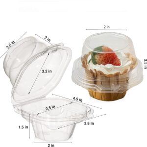 Mistari 50 Pack Individual Cupcake Containers Plastic Cupcake Boxes Disposable Cupcake Holders Stackable Deep Dome Cupcake Carrier with Airtight Dome Lid, BPA Free, Clear