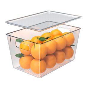 YAN & HIN 12pcs/ Set Clear Large Storage Bins with Lids, Versatile Pantry Storage Solution - Transparent, Stackable, and Durable for Organized Home and Office (11 "L x 7.5" W x 6 "H)