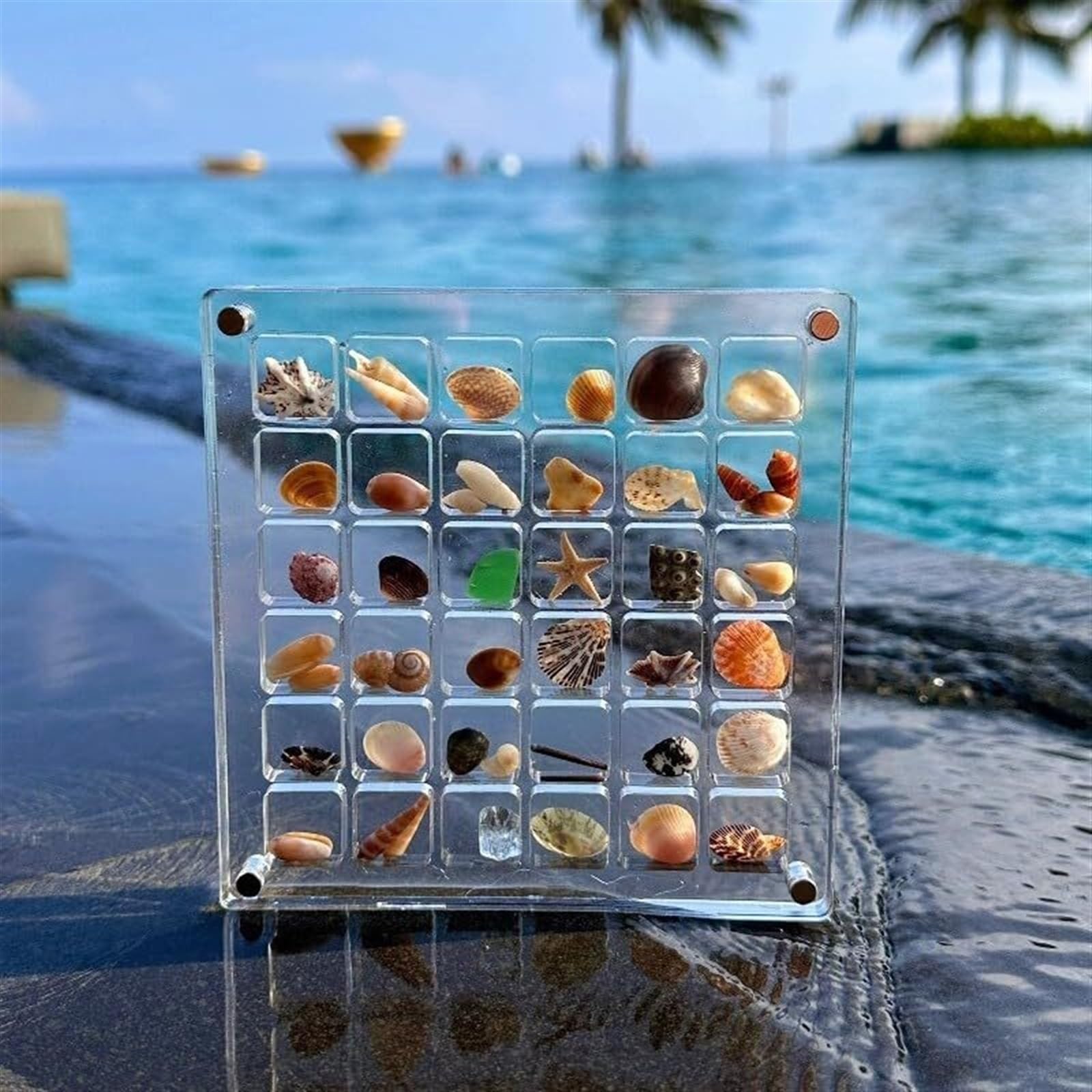 SISIRONG Acrylic Magnetic Seashell Display Box，2024 New 36/64/100 Grids Clear Acrylic Seashell Display Box，Small Craft Organizers Container for Bead, Nail, Jewelry ( Color : 100 Grids ), 1233344