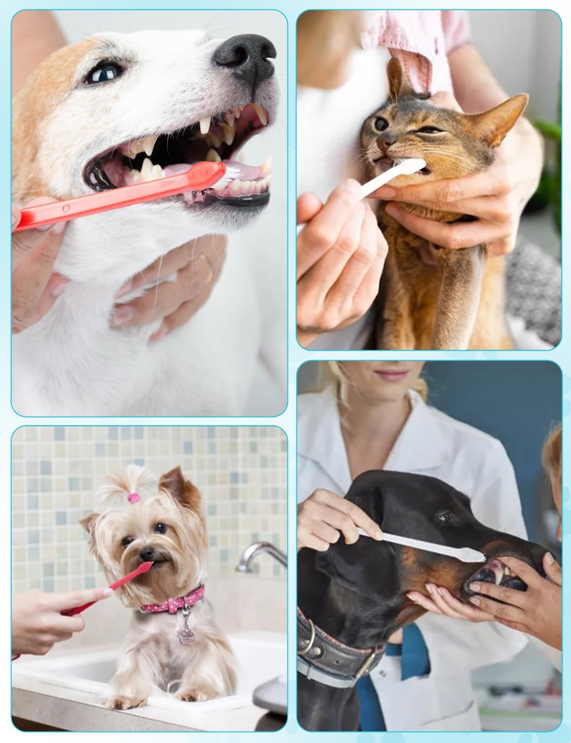 CRAZYBELLY 10 Pcs Dog Toothbrush Cat Toothbrush Pet Toothbrush Dual-Headed Toothbrush for Dogs Teeth Cleaning Dog Tooth Brush