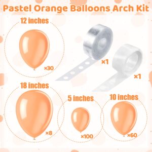 200 Pieces Pastel Orange Balloons Peach Balloons Garland Arch Kit Light Orange Balloons Different Sizes for Birthday Baby Shower Decorations