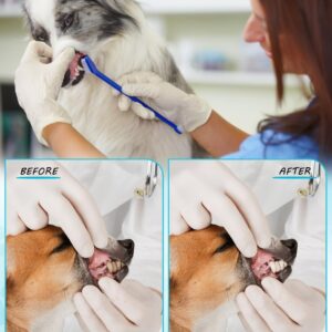 CRAZYBELLY 10 Pcs Dog Toothbrush Cat Toothbrush Pet Toothbrush Dual-Headed Toothbrush for Dogs Teeth Cleaning Dog Tooth Brush