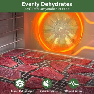 Dehydrators for Jerky, 10 Trays Stainless Steel Meat Dehydrator, 194℉ Temp Control & Digital Timer, 600W Fruit Dehydrator, Food Dehydrator for Jerky, Dog Treats, Mushroom, Veggies, Fruit