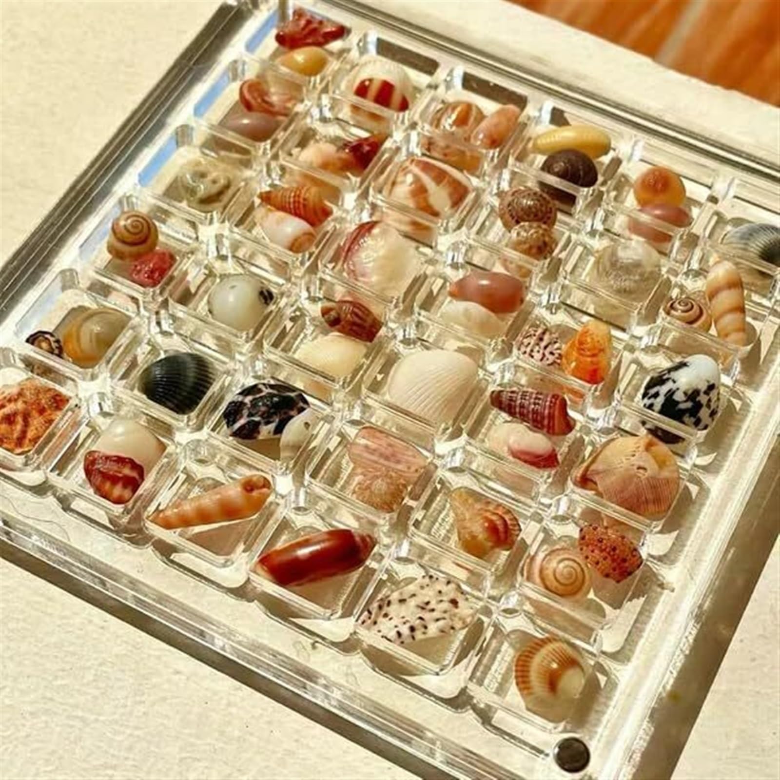 SISIRONG Acrylic Magnetic Seashell Display Box，2024 New 36/64/100 Grids Clear Acrylic Seashell Display Box，Small Craft Organizers Container for Bead, Nail, Jewelry ( Color : 100 Grids ), 1233344