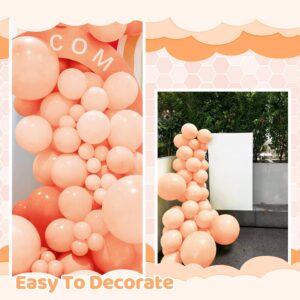 200 Pieces Pastel Orange Balloons Peach Balloons Garland Arch Kit Light Orange Balloons Different Sizes for Birthday Baby Shower Decorations