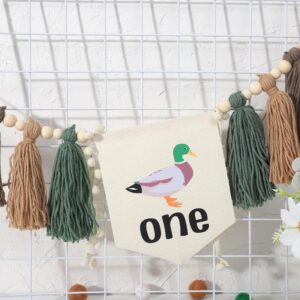 Lucky Duck Tassel High Chair Banner - Mallard Duck 1st Birthday Party Decorations, Duck Hunting 1st Birthday High Chair Tassel Banner, Duckling Baby Shower Party Decorations, A Lucky Duck Themed