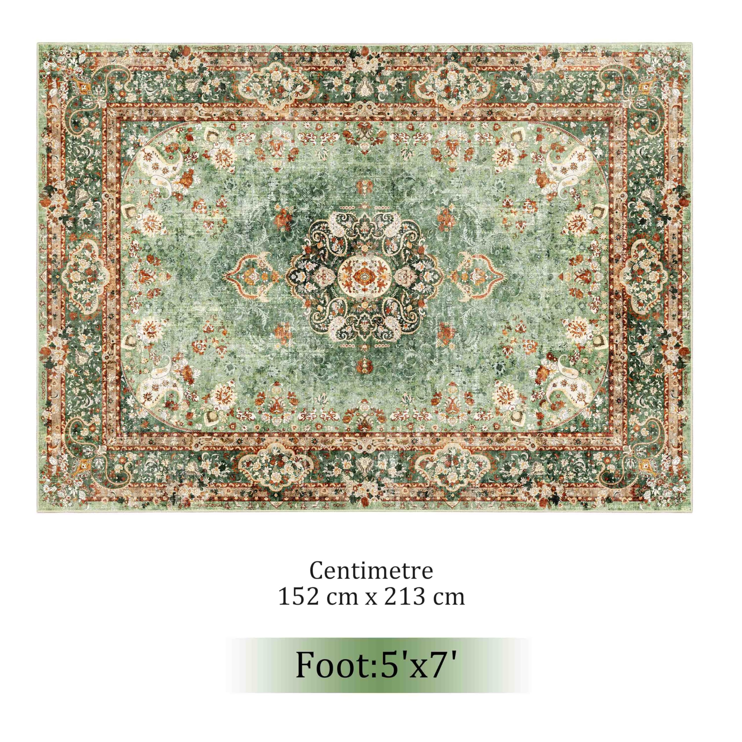 Castage 5x7 Area Rugs Washable,Green Rug for Living Room Bedroom Kitchen,Large Boho Vintage Bohemian Distressed Oriental Carpet Non Slip