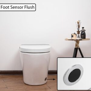 Greenspring Smart Toilet with Bidet Built in and Heated Seat Toilet with Warm Water Sprayer Dryer and Foot Sensor Operation