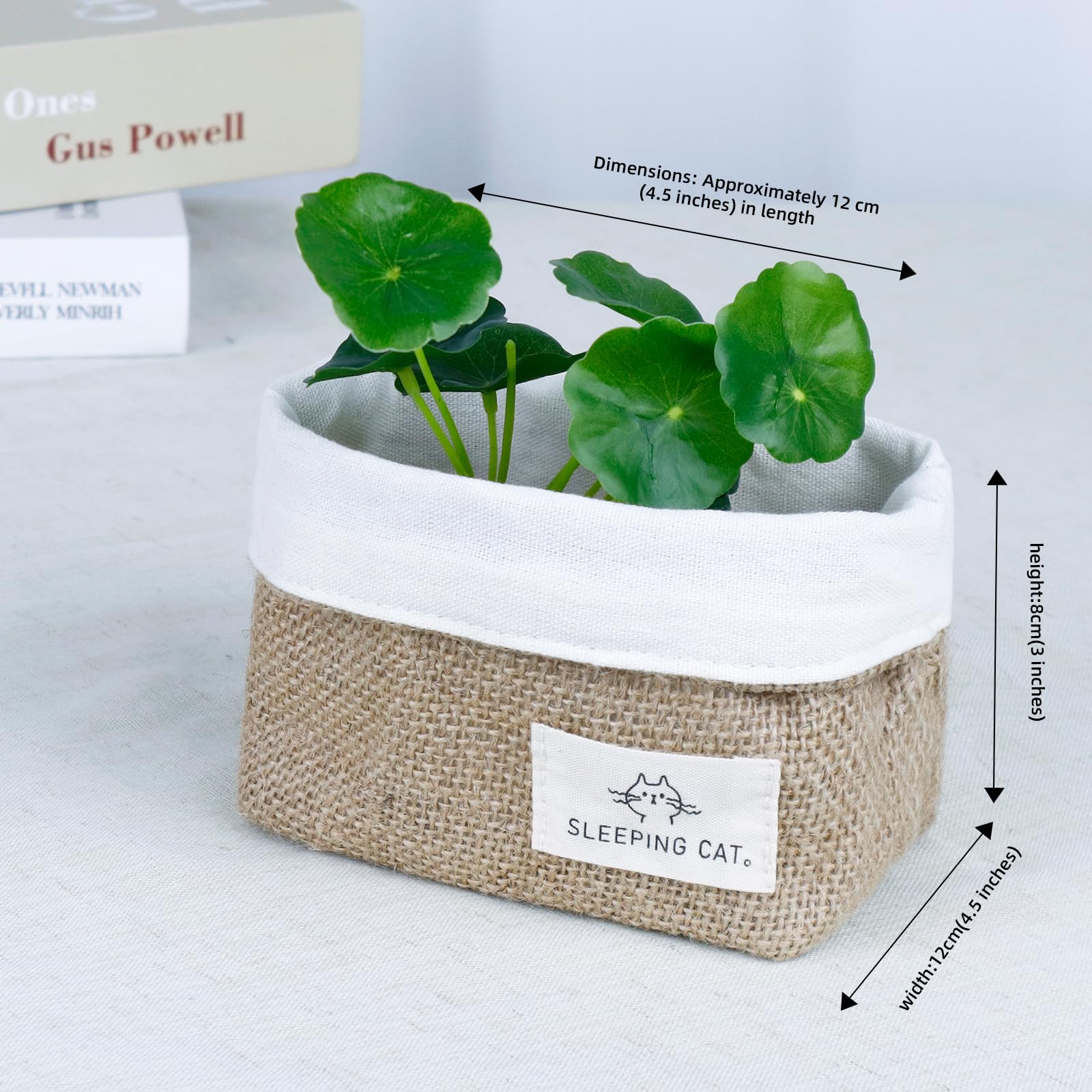 TENEBRALUX Small Cotton and Linen Hanging Storage Basket for Desktop, Ideal for Organizing Keys and Miscellaneous Items.