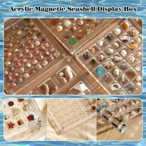 Acrylic Magnetic Seashell Display Box,Seashell Storage Box Display Case Decorative Gemstone,Clear Acrylic Organizer Box,Craft Storage Container Beads Organizer for Bead,Nail Art DIY Jewelry (36 Grids)