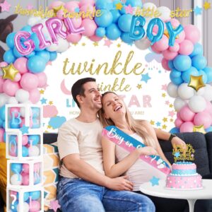 Hombae Twinkle Twinkle Little Star Gender Reveal Decorations, Star Boy or Girl Gender Reveal Decorations Balloon Garland Banner Tablecloth Box Cutout Backdrop Cake Cupcake Topper Poster Sash 172 PCs