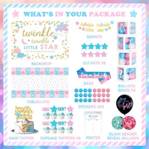 Hombae Twinkle Twinkle Little Star Gender Reveal Decorations, Star Boy or Girl Gender Reveal Decorations Balloon Garland Banner Tablecloth Box Cutout Backdrop Cake Cupcake Topper Poster Sash 172 PCs