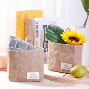 TENEBRALUX Small Cotton and Linen Hanging Storage Basket for Desktop, Ideal for Organizing Keys and Miscellaneous Items.