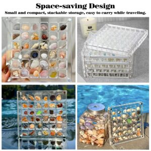 Acrylic Magnetic Seashell Display Box,Seashell Storage Box Display Case Decorative Gemstone,Clear Acrylic Organizer Box,Craft Storage Container Beads Organizer for Bead,Nail Art DIY Jewelry (36 Grids)