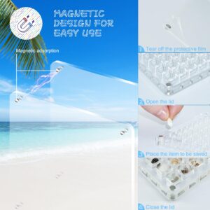 Magnetic Seashell Display Box, 64 Grids Seashell Storage Box, Clear Acrylic Magnetic Seashell Display Box - Decorative Storage Case for Seashells and Starfish.