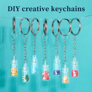 Teenitor 524PCS Keychain Making Kit, Key Chain Clips, Key Chain Rings, Lanyard Hooks Lobster Claw Clasps, Key Rings and Jump Rings for Key Chain Making Jewelry Lanyard Making, Keychain Kit