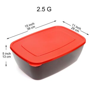 Youngever 2 Pack Extra Large Food Storage Containers (2.5 Gallon 15 inch x 11 inch x 5 inch)