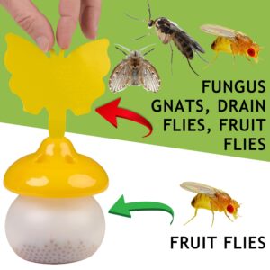 Fruit Fly Trap - Fruit Fly Trap for Indoor, Flying Insect Trap, Gnat Trap Indoor Trap, Fruit Fly Traps for Indoors, Indoor Fly Trap with Yellow Sticky Pads & Attractant for Home, Kitchen