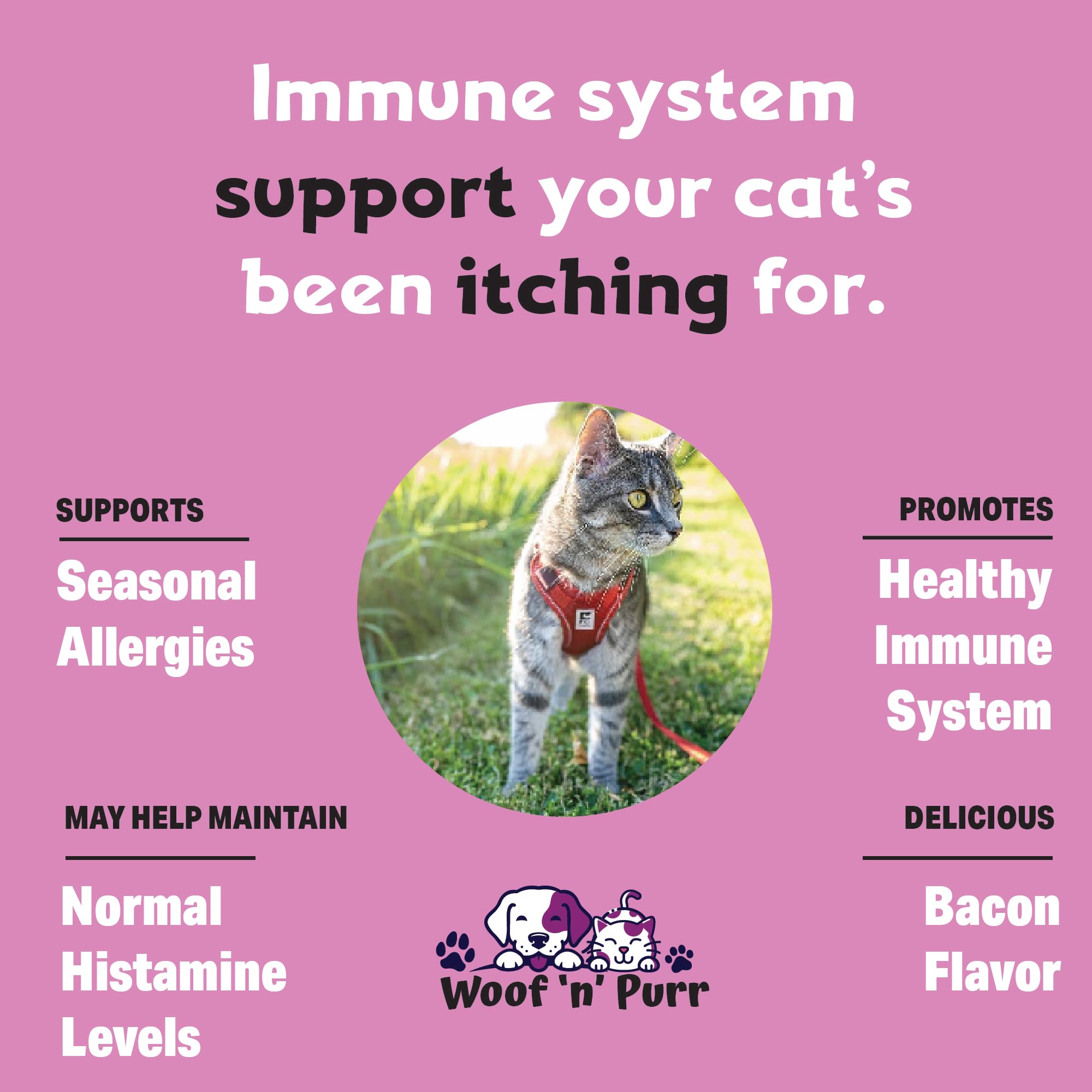 Immune Support for Cats - Helps to Support a Healthy Immune System - Cat Immune Booster - Cat Immune Support - Cat Immune Supplement - Immune Support Cats - Cat Immune Support Supplement - 1 fl oz