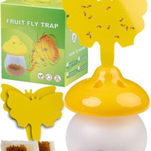 Fruit Fly Trap - Fruit Fly Trap for Indoor, Flying Insect Trap, Gnat Trap Indoor Trap, Fruit Fly Traps for Indoors, Indoor Fly Trap with Yellow Sticky Pads & Attractant for Home, Kitchen