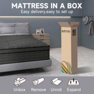 sdoodo Twin Mattress,14 Inch Twin Size Mattress in a Box with Independent Pocket Spring,Memory Foam Hybrid Mattress,Pressure Reliving,Medium Firm,CertiPUR-US Certified