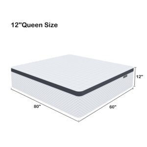 Deegari Queen Mattress,12 Inch Queen Size Mattress in a Box,Gel Memory Foam and Innerspring Hybrid Mattress with Individual Pocket Spring for Motion Isolation,Pressure Relief,Medium Firm Feel