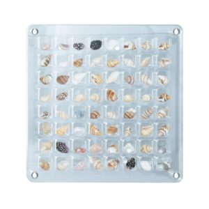 Magnetic Seashell Display Box, 64 Grids Seashell Storage Box, Clear Acrylic Magnetic Seashell Display Box - Decorative Storage Case for Seashells and Starfish.