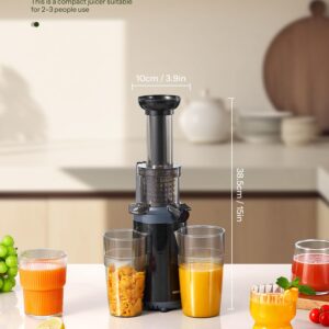 Masticating Juicer Machines, Reemix Cold Press juicer Machine Compact Size, Juice Extractor, Nutrient and Vitamin Dense, BPA-Free Tritan, Easy to Clean (Black)