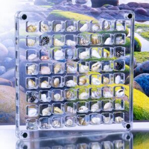 Magnetic Seashell Display Box, 64 Grids Seashell Storage Box, Clear Acrylic Magnetic Seashell Display Box - Decorative Storage Case for Seashells and Starfish.