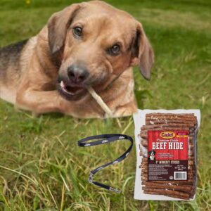 Cadet Rawhide Chews, 1.98 lb - 100 Pack - Munchy Beef Hide Dog Chews Bundle with Pet Training Stainless Steel clicker Whistle, 5 Inch Long-Lasting Rawhide Sticks, Rawhide Rolls for Dental [Pack of 3]