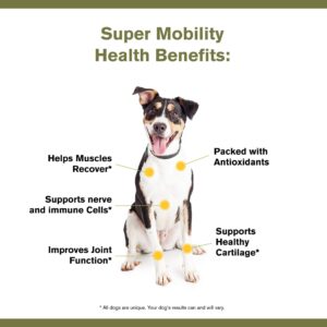 Badlands Ranch - Super Mobility Canine Supplement Organic Ingredients Helps Maintain Healthy Cartilage, Optimal Joint Function by Katherine Heigl (90 Grams, 30 Scoops)