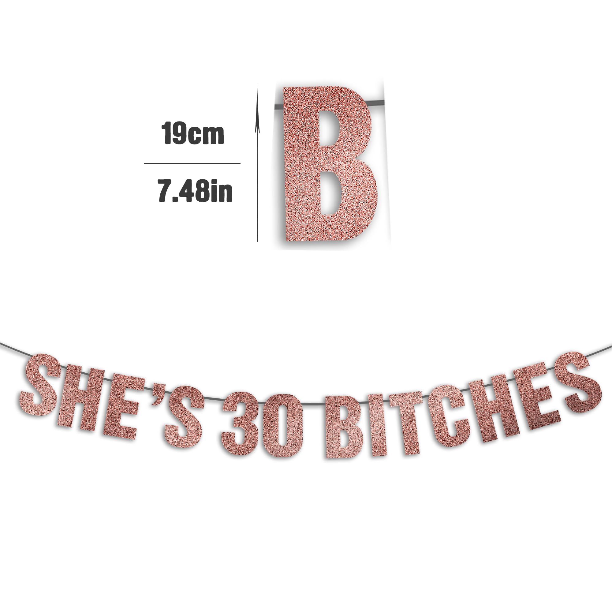 JunyRuny 30th Birthday Banner- Rose Gold Glitter , 30th Birthday Party Decorations for Women, 30th Birthday Decorations for Her, Dirty Thirty Birthday Decor, Funny 30th Birthday Sign, 30th Birthday Gifts for her