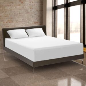 pacific coast feather protect-a-bed cool mattress protector - queen