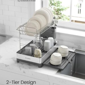 SONGMICS 2-Tier Small Dish Drying Rack, Expandable Dish Dryer for Kitchen Counter, Stainless Steel Dish Rack with Utensil Holder, Rustproof, for Dishes, Knives, Spoons, Forks, Silver Gray UKCS036G01