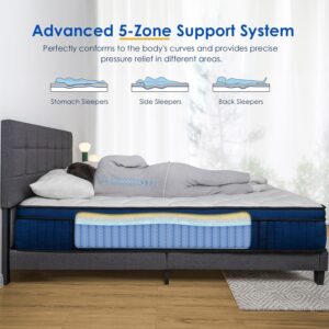 QUEEN ROSE Twin Size 12inch Mattress Bed in a Box, Pillow Top Gel Memory Foam Mattress for Kids, Hybrid Mattress with Individually Wrapped Pocket Coils Innerspring