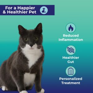 Innovative Pet Lab Comprehensive Gut Health Test Kit for Cats - at-Home Cat Stool Test for Immune & Gluten Sensitivity Symptoms Like Diarrhea, Vomiting, Itchy Skin - Easy Non-Invasive Testing Kit